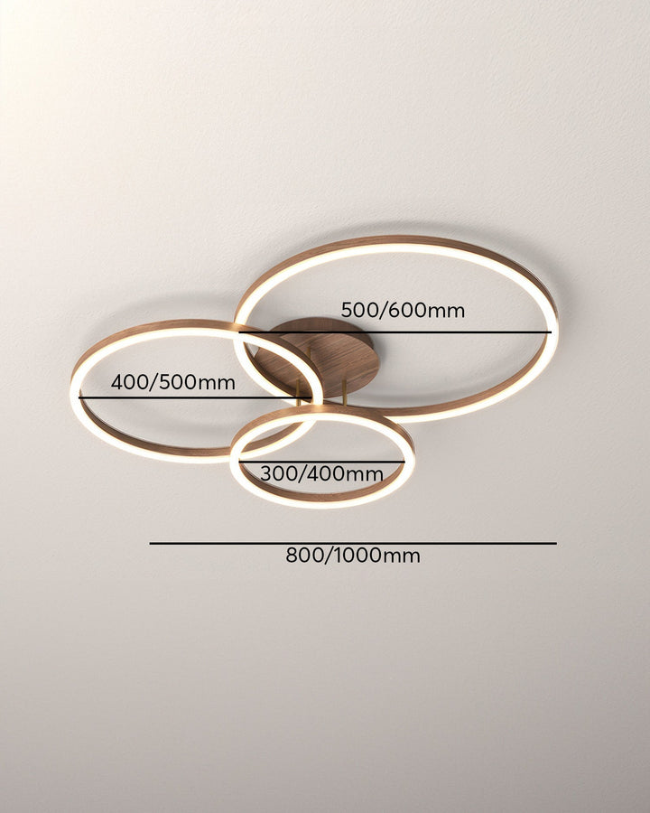 Plafonnier Anneau Élégant